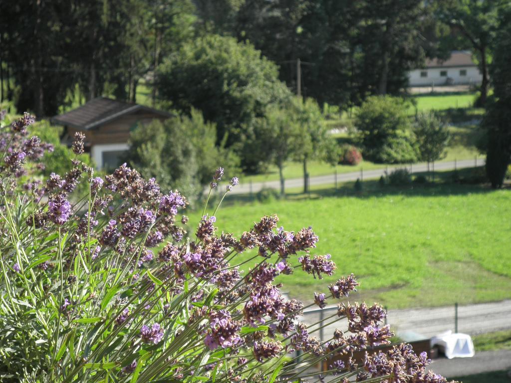Haus Sonnblick Διαμέρισμα Wängle Εξωτερικό φωτογραφία